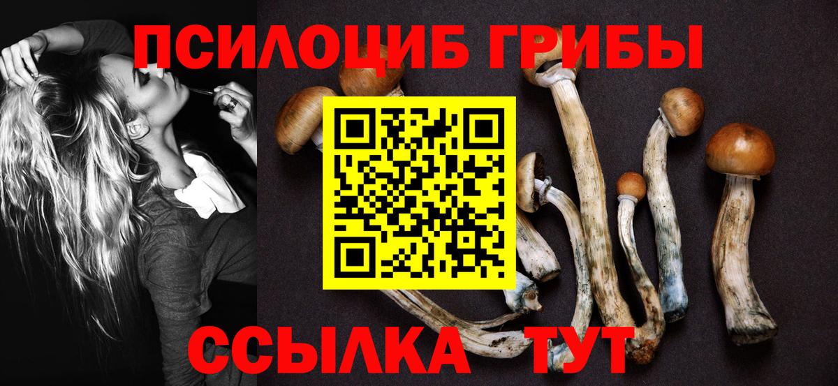 Псилоцибиновые грибы мицелий Муром
