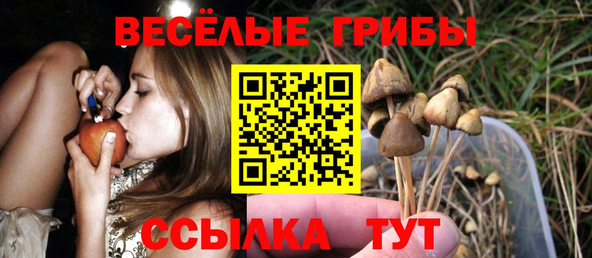 Псилоцибиновые грибы мухоморы  Вход с VPN  Муром  Галлюциногенные грибы Psilocybe 